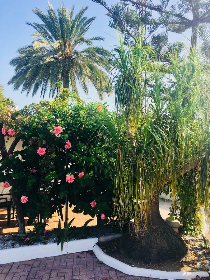 El Cortijo De Miguel Villa Nerja Bagian luar foto
